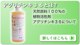 AO`L36Ƃ